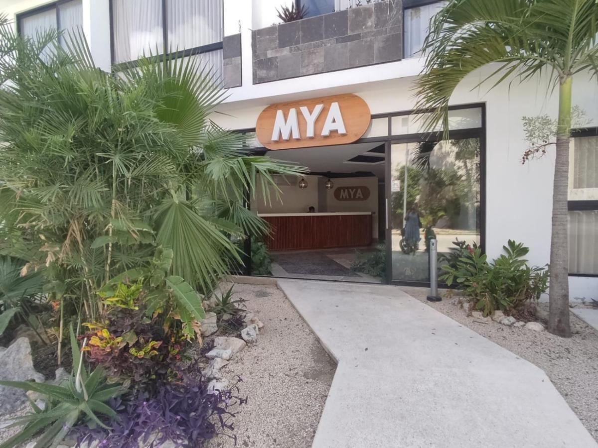 Nuevo Estudio Con Terraza Totalmente Equipado Tulum Aldea Zama Kültér fotó